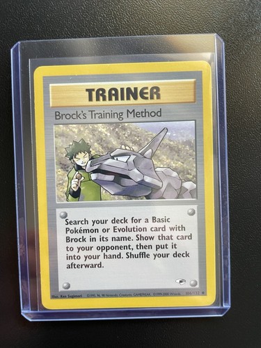 Pokemon brock training - pokemon,