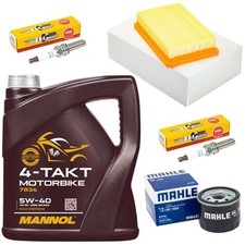 Kit Manutenzione Olio 4L
