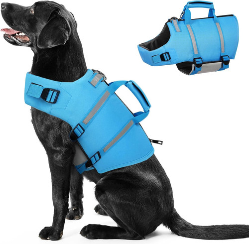 Giubbotto salvagente cane - giubbotto,