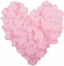 1000 Pezzi Petali Di Rosa