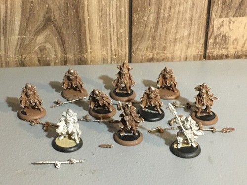 A24649 warmachine hordes - a24649,