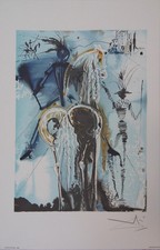 Salvador dali cavalli di - cavalli,