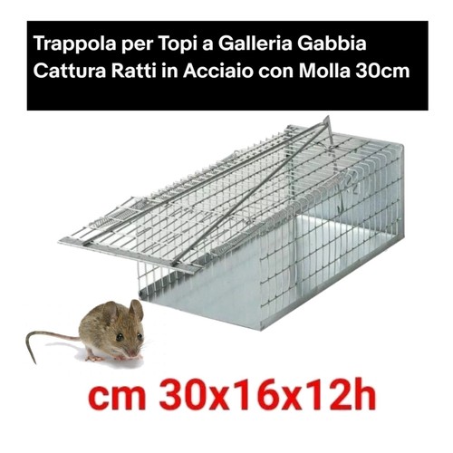 Trappola per topi - topi, galleria