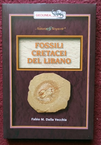 Fossili libano pesci crostacei - libano,