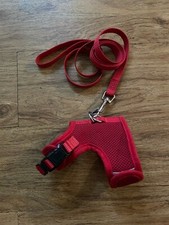 Pettorina e guinzaglio rossi