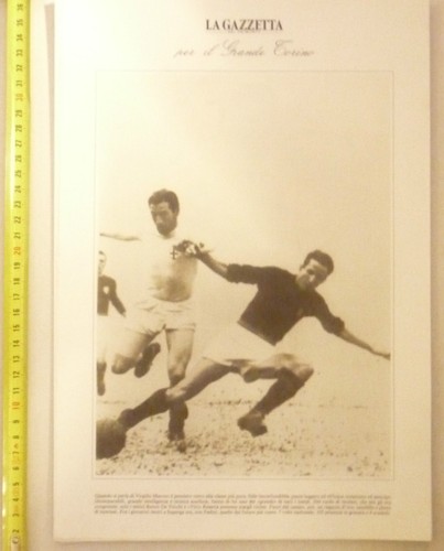 Grande - il,