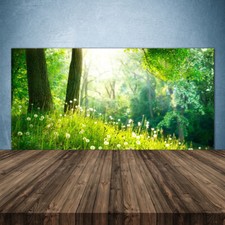 Paraspruzzi Cucina in Vetro