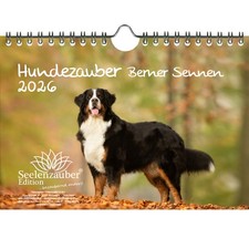 Magia per cani Berner Sennen DIN A5 calendario per cuccioli e cani 2026 - magia dell'anima