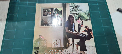 Pink floyd ummagumma - pink,