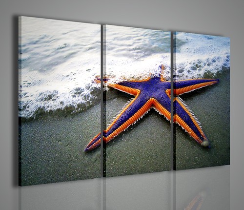 Quadri moderni starfish - starfish, ii