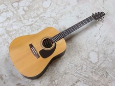 Chitarra elettrica acustica
