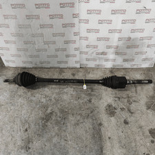 Semialbero ant compl dx - semialbero, compl.