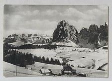 98148 Cartolina - Bolzano - Alpe di Siusi Panorama verso Sassolungo - VG 1952