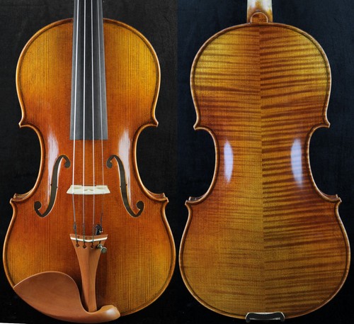 Maestro luo wen fei violino - maestro,