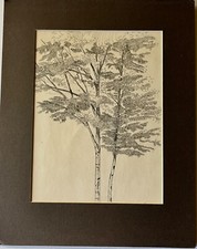 Unsigned of Graziani pencil