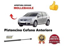 Pistoncino Ammortizzatore