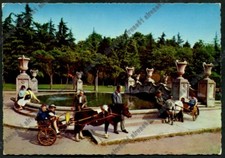 NOVARA CITTÀ 394 PARCO DEI BAMBINI con FONTANA e CAVALLINI Pony Cartolina