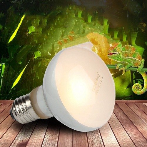 Confezione lampadine lampada - confezione,