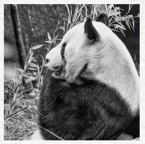 Panda pannello trapuntato - panda,