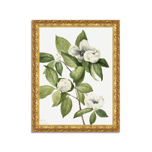 Quadro stampa tela effetto - stampa, su