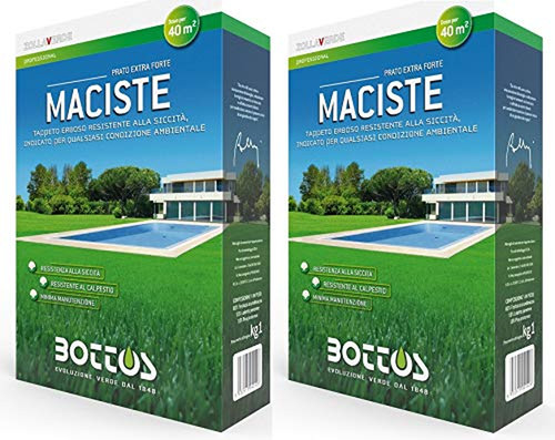 Bottos maciste sementi - bottos, per
