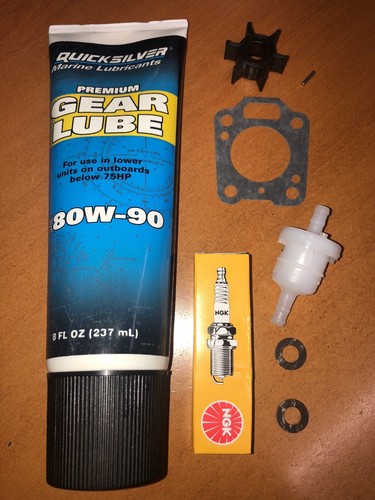 Kit manutenzione annuale