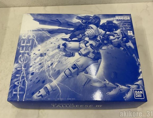 100 gundam wing endless - 1/100,