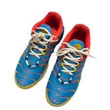 Nike Air Max Plus TN Tuned Air