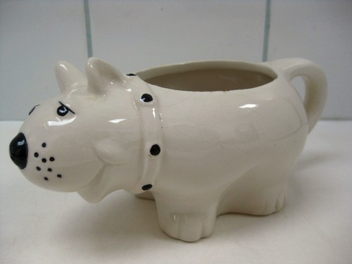Staffordshire english bull - staffordshire,