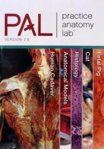 Practice anatomy lab - practice, 2