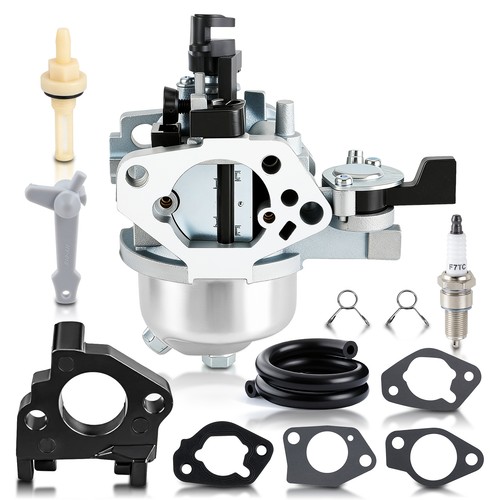 Oem ruixing carburetor kit - oem,