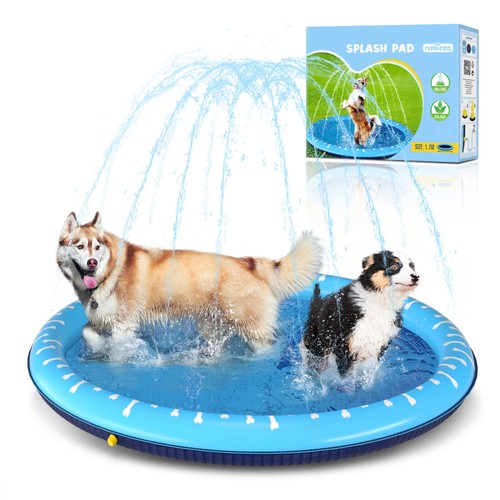 Nobleza piscina per cani - piscina,
