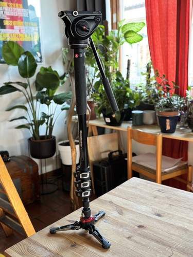 Monopiede professionale