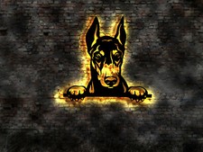 Dobermann cucciolo cucciolo no