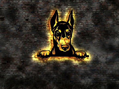 Dobermann cucciolo - , no