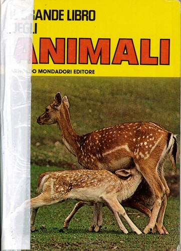 Grande libro degli - grande,