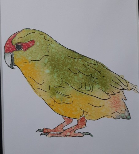 Stampa artistica acquerello - ad,