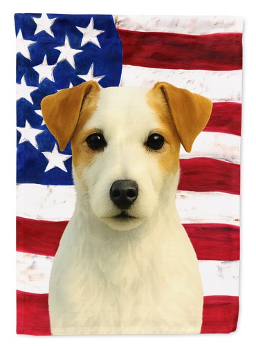 Bandiera americana jack - bandiera,