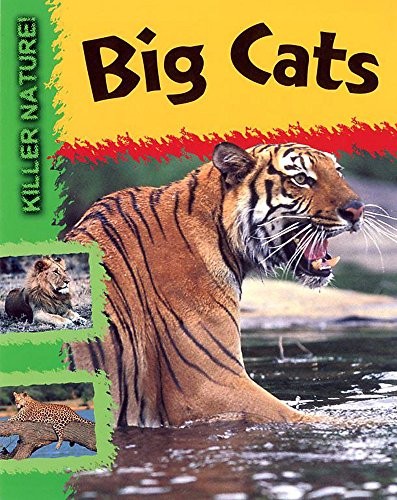 Big cats - cats, (killer