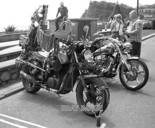 Photo the poacher - photo, hits