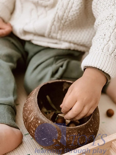 Qtoys usa coconut - usa, sensory