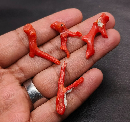 Corallo rosso del mar - corallo,