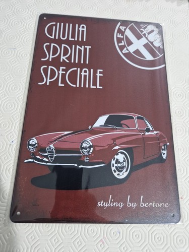 Targa latta insegna 30x20 - targa, cm.