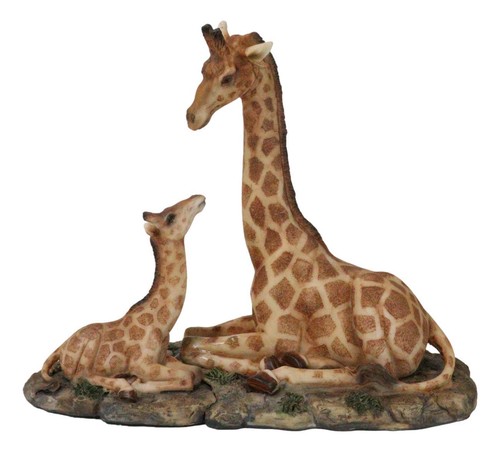 Safari savannah masai giraffe - savannah,