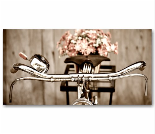 Bici vintage quadro moderno - vintage,