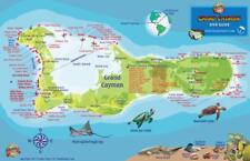 Grand Cayman Dive Map & Reef Creatures Guide Waterproof Fish Card Franko Maps