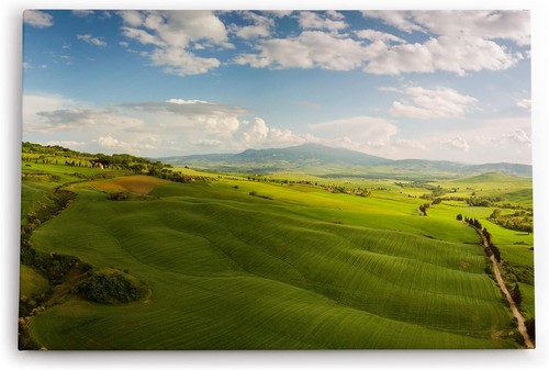 Quadro 120x80 prato - prato, verde