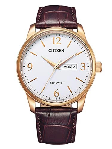Citizen - unica),