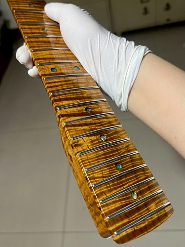 Aaaaa collo chitarra elettrica - aaaaa,