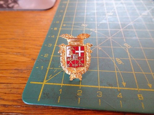 Pin spilla distintivo stemma - pin,